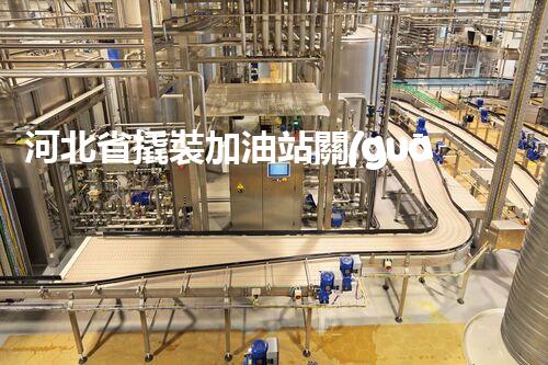 河北省撬裝加油站關(guān)鍵技術(shù)突破！化工廠拆除工程的新方法探索？
